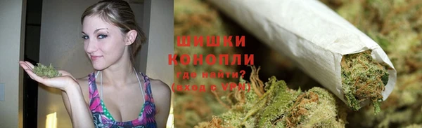 прущий лед Дмитриев