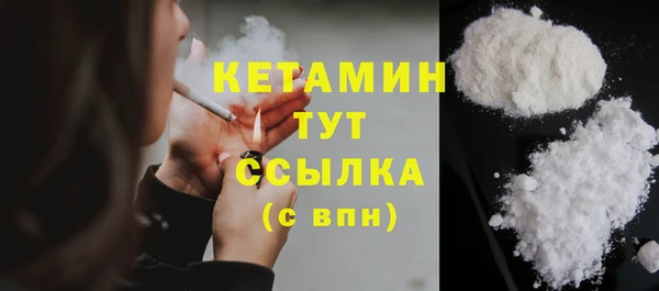 прущие грибы Дмитров