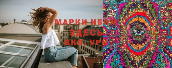 прущие грибы Дмитров
