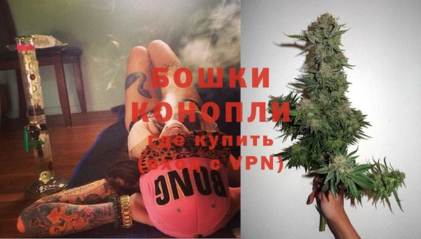 прущие грибы Дмитров