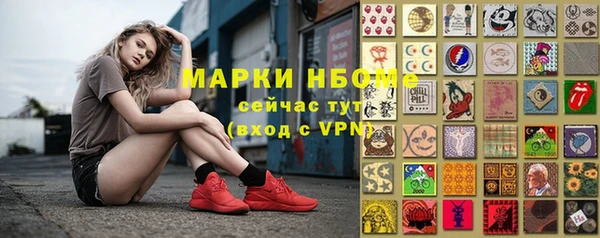прущий лед Дмитриев