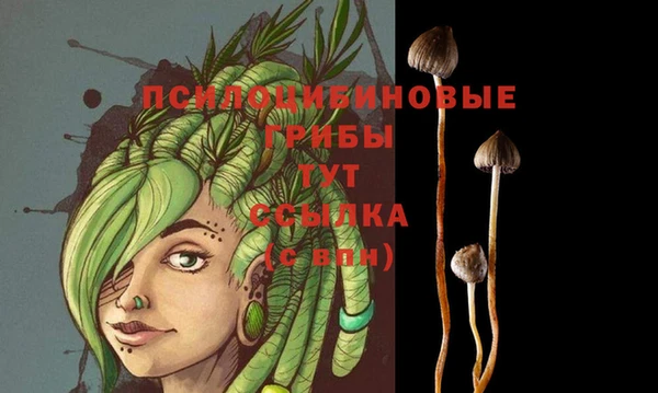 прущий лед Дмитриев