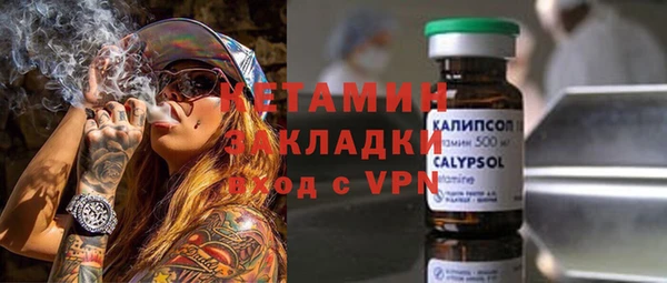 прущие грибы Дмитров