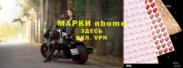 прущий лед Дмитриев