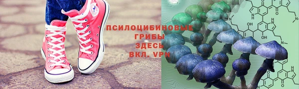 прущий лед Дмитриев