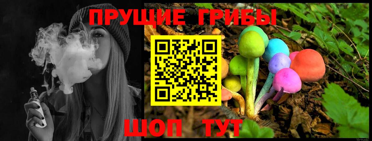 Галлюциногенные грибы Psilocybe  Псилоцибиновые грибы мицелий  Нижний Новгород  Вход с VPN 