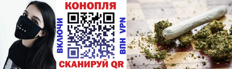 Каннабис план  Нижний Новгород 